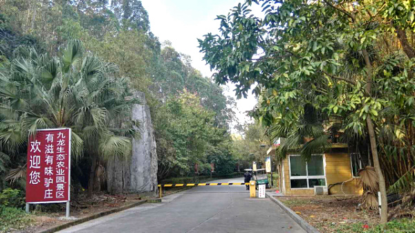 深圳農(nóng)家樂自駕游為什么推薦九龍生態(tài)園？